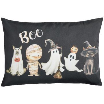 HUSĂ DE PERNĂ 40/60 cm