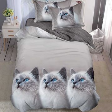 Lenjerie 1 Persoana cu elastic 140x200 Norene Pisica (Finet)