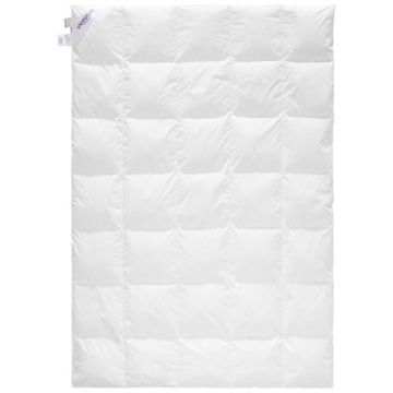 PILOTĂ DE IARNĂ 200/220 cm