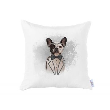 Fata de Perna Pet V6, 45x45 cm