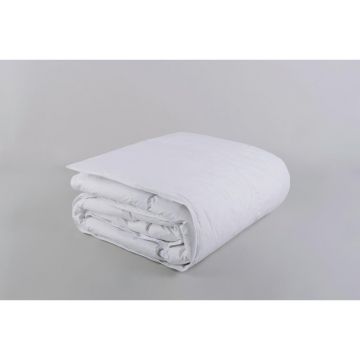 Pilotă Tot Timpul Anului