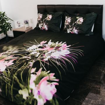 Lenjerie de pat ranforce clasy king size (rnf_9)