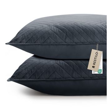 Fețe de pernă 2 buc. din microfibră 45x45 cm Softa – Restilo