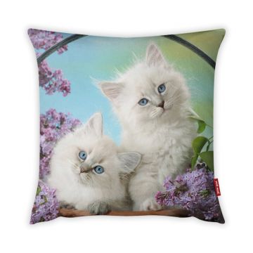 Față de pernă cu amestec din bumbac Vitaus Cat, 43 x 43 cm