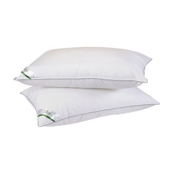 Set 2 perne Sleep by Green Future 10% puf gasca 90% pana de gasca, 50x70 cm