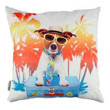 Perna, A10804, 43x43 cm, Multicolor