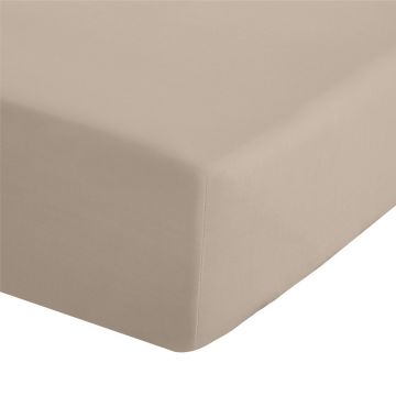 Cearceaf maro deschis din bumbac percale cu elastic 90x190 cm Easy Iron Percale – Catherine Lansfield