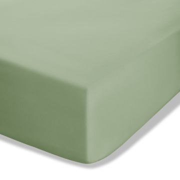 Cearceaf verde din bumbac percale cu elastic 90x190 cm Easy Iron Percale – Catherine Lansfield