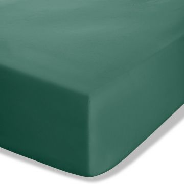 Cearceaf verde închis din bumbac percale cu elastic 90x190 cm Easy Iron Percale – Catherine Lansfield