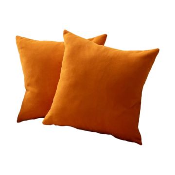 Fețe de pernă 2 buc. 43x43 cm – Mioli Decor