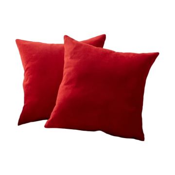 Fețe de pernă 2 buc. 43x43 cm – Mioli Decor