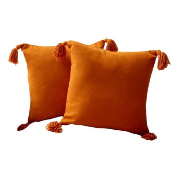 Fețe de pernă 2 buc. 43x43 cm Puskul – Mioli Decor